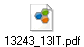 13243_13IT.pdf