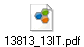 13813_13IT.pdf
