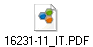 16231-11_IT.PDF
