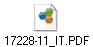 17228-11_IT.PDF