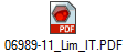 06989-11_Lim_IT.PDF