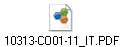 10313-CO01-11_IT.PDF