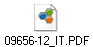 09656-12_IT.PDF